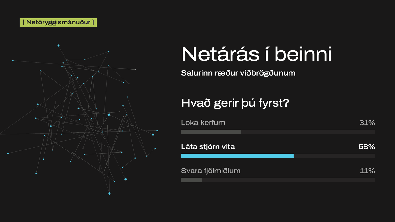 netaras-hero-1920x1080