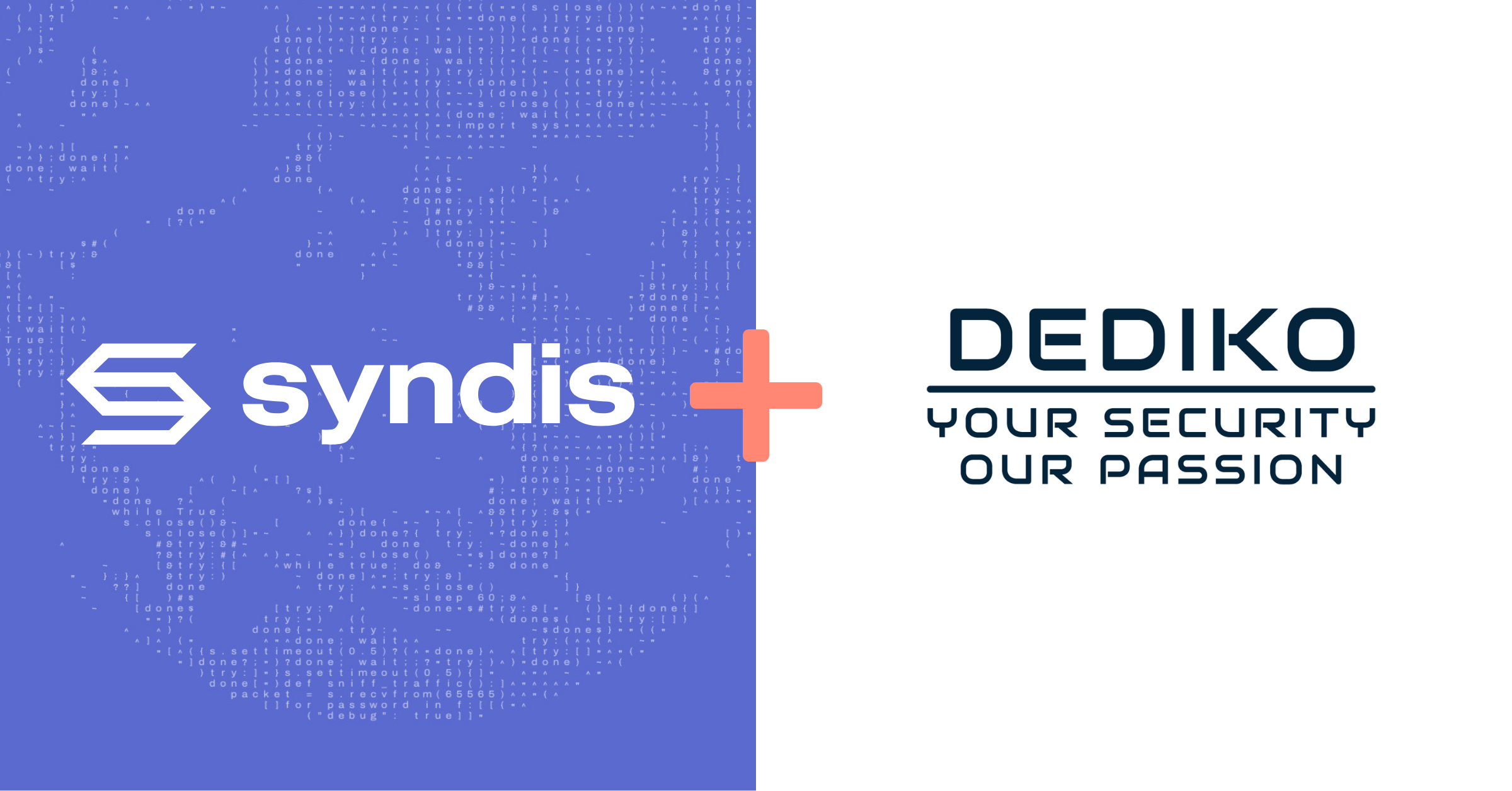 Syndis_Dediko_Landscape